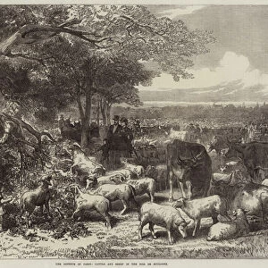 The Defence of Paris, Cattle and Sheep in the Bois de Boulogne (engraving)