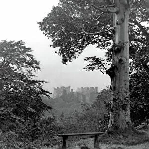 Distant view of Lumley Castle, from The Country Houses of Sir John Vanbrugh by Jeremy Musson, published 2008 (b/w photo)
