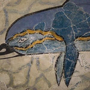 Part of the "Dolphin Fresco". 1600 - 1450 BC