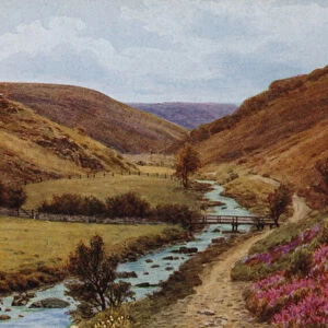 The Doone Glen, Lynton (colour litho)