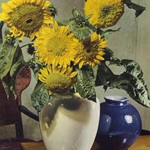 Early colour photography: Sunflowers (colour photo)