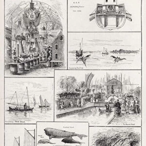 The Fisheries Exhibition, Canadian and American Courts (engraving)
