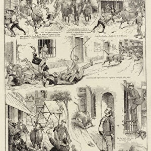 The "Gallumbo, "a Popular Sport in Spain (engraving)