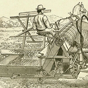 A harvesting machine, pulled by horses, which tied the sheaves of corn mechanically, used in the late 19th century. From El Museo Popular published Madrid, 1887
