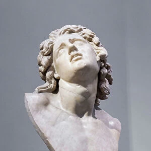 Head known as "dying Alexander", late 2nd century BC, (marble)