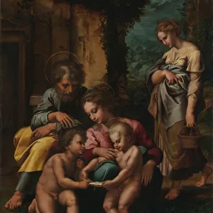 The Holy Family, c. 1520-23 (oil on panel)