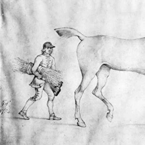 Horse and Grooms, 1754 (pencil on paper)