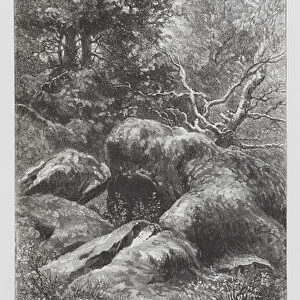 The Insect: The Forest of Fontainebleau (engraving)