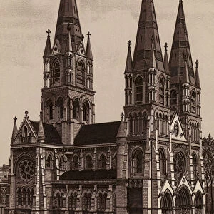 Ireland: Cork, St Fin Barrs Cathedral, West Front (litho)