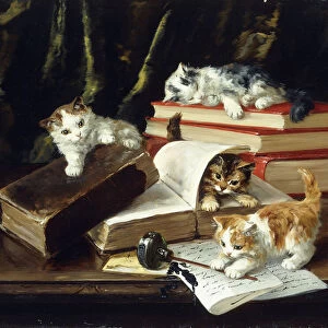 Kittens Playing on Desk, (oil on canvas)
