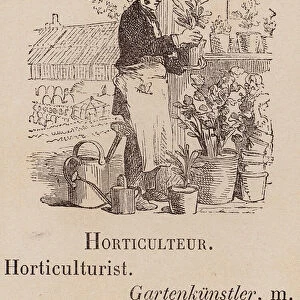 Le Vocabulaire Illustre: Horticulteur; Horticulturist; Gartenkunstler (engraving)
