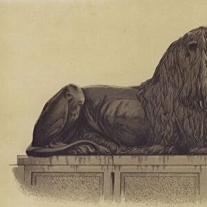 One of the lion statues from Trafalgar Square, London (litho)