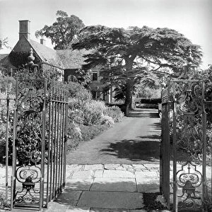 Looking east down the first section of the great alley, Hidcote Manor, from The English Manor House (b/w photo)