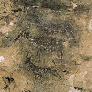 Mesolithic Rock Art: Deer and Goats (8000-7000 BC), Spain, Bicorp