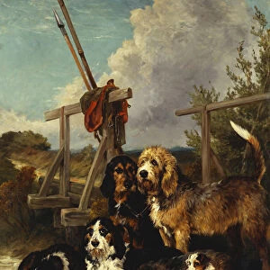 Otter Hounds by a Bridge - Tired Out, 1881 (oil on canvas)