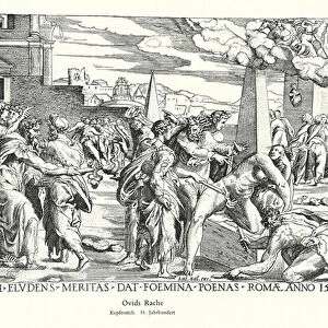 Ovids revenge (copper engraving)