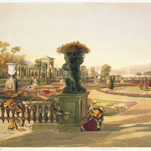 The Parterre, Trentham Hall Gardens, pub. by Thomas McLean (litho)