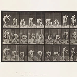 Plate 505. Bricklaying, 1872-85 (collotype on paper)