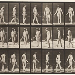 Plate 51. Walking, and Turning Around, Using Sprinkling Pot, 1872-85 (collotype on paper)