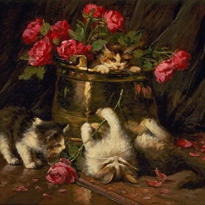 Playful Kittens (oil on canvas)