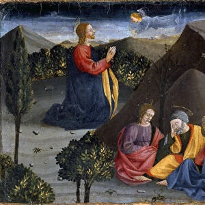 Polyptych of the Misericordia: prayer in the Olive Garden, 1445-1460 (painting on wood)