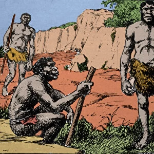 Prehistory: representation of Homo rhodesiensis or man of Broken hill