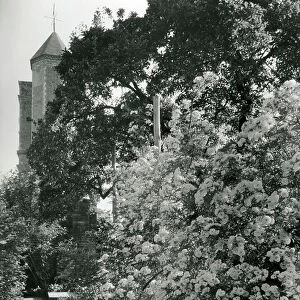 Roses growing against the old walls with the Tower behind, Sissinghurst Castle, from The English Manor House (b/w photo)