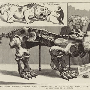 The Royal Societys Conversazione, Skeleton of the "Pareiasaurus Bainii, "a Huge Fossil Reptile, exhibited by Professor H G Seeley (engraving)