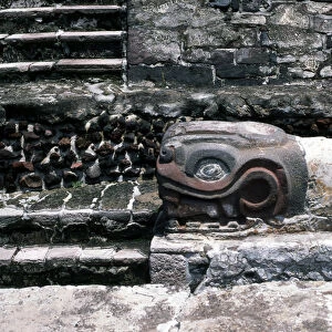 Snake on Templo Mayor, Late Post Classic period (stone & stucco)