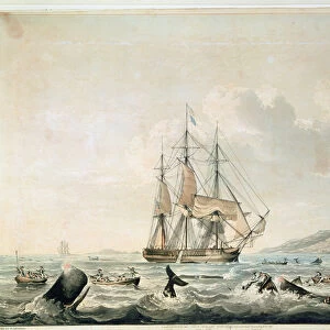 South Sea Whale Fishery, engraved by T. Sutherland, 1825 (colour aquatint)