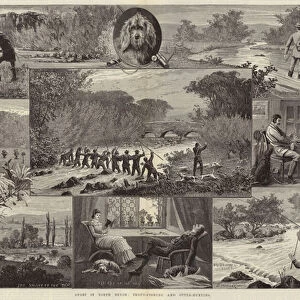 Sport in North Devon, Trout-Fishing and Otter-Hunting (engraving)