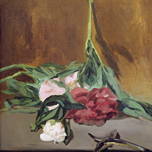 Stem of Peonies and Secateurs, c. 1864 (oil on canvas)