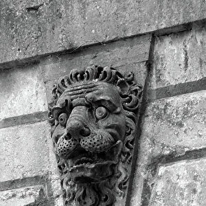 A stone lion above a window at Blenheim Palace, Oxfordshire, from The Country Houses of Sir John Vanbrugh by Jeremy Musson, published 2008 (b/w photo)
