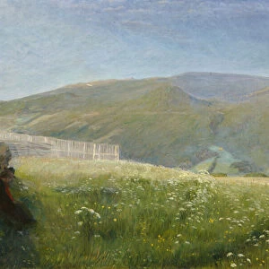 Summer landscape, Vaga, 1897