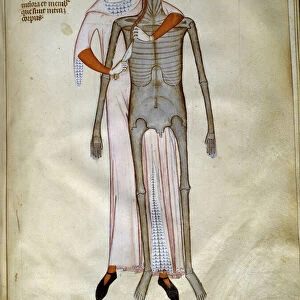Surgery: Dissection of the thorax. Miniature in "Liber notabilium Philippi septimi francorum regis, a libris Galieni extractus"written by Gui (Guy) of Pavia, 1345, Italy. Dim: 32x22cm. Chantilly, Conde Museum
