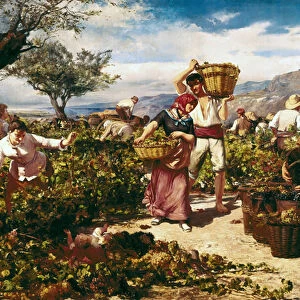 "The harvest"by Ricardo Marti i Aguilo (1868-1936), 1881. Painting
