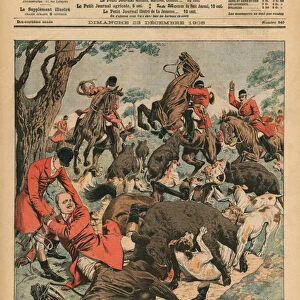 Tragic boar hunt, the horse of Carlos I, King of Portugal, is killed under him, front