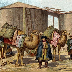 The transport of oil on camels in the Caucasus