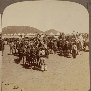 Transport wagons, De Aar, South Africa, 1899 (b / w photo)