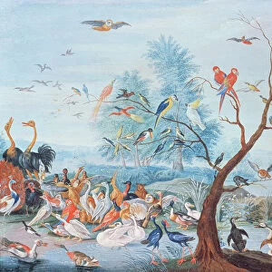 Tropical birds in a landscape (oil on panel)