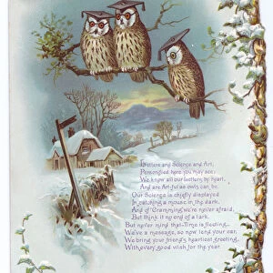 Victorian greeting card of three owls perched on a branch wearing graduation motar hats