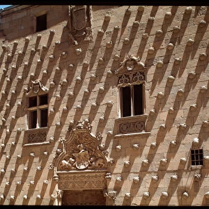 View of gothic facade (1493-1517)