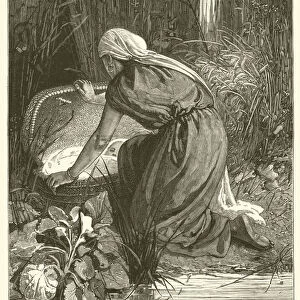 "When she had opened it, she saw the child", Exodus, ii, 6 (engraving)