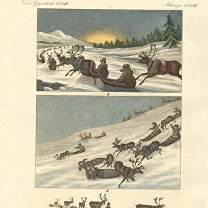 Winter trips in Lapland (coloured engraving)