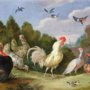 Wooded Landscape with a Cock, Turkey, Hens and other Birds, 17th century (oil on canvas)