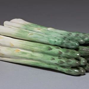 Box Form Asparagus 1765. Sceaux Factory French