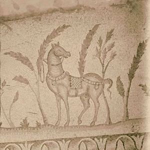 Southern Palestine Mosaic tethered horse Beit Jibrin