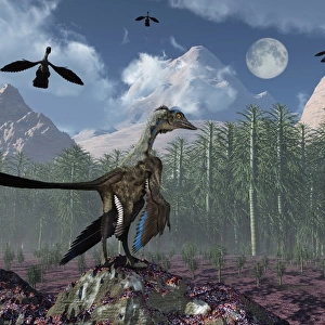 An Archaeopteryx standing at the edge of a forest