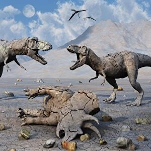 Petrified Tyrannosaurus rex and Triceratops dinosaurs