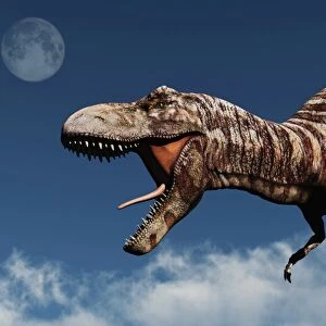 Profile of a Tyrannosaurus rex